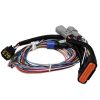 MSD 7780 Replacement Harness Power Grid