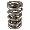 PAC 1205X Dual Racing Valve Spring